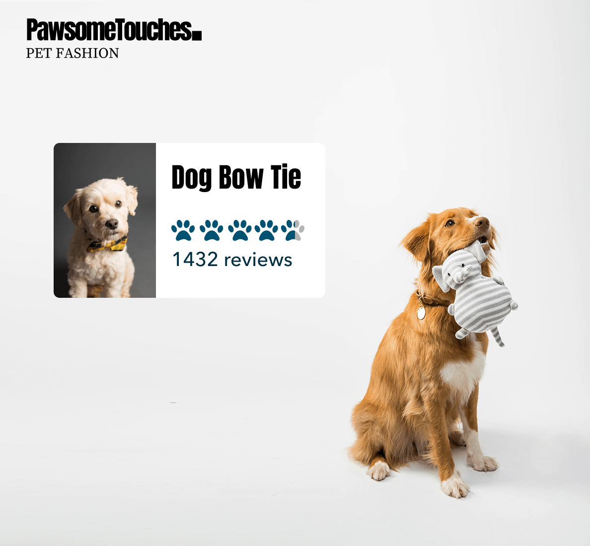 A product page from an online shop who sells pets cloting, with customised product reviews Powered by Superdesk